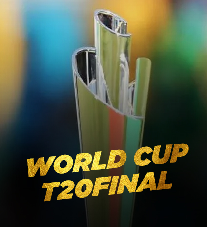 assets/img/worldcupt20final.jpg